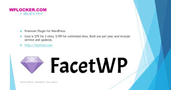 FacetWP v4.2.9 – Advanced Filtering for WordPress