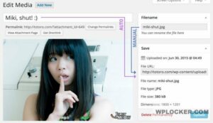 Media File Renamer Pro v5.8.1