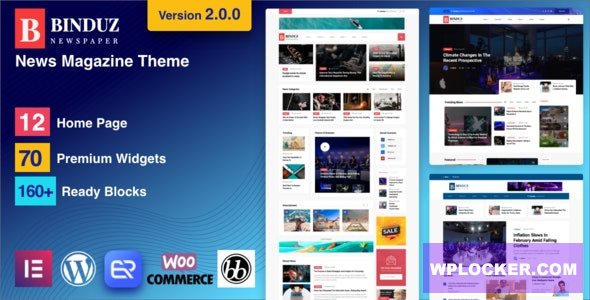 Binduz v2.2.0 – Blog Magazine Newspaper Theme
