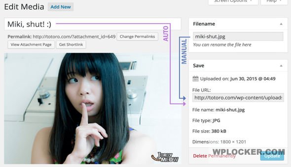 Media File Renamer Pro v6.0.6  nulled