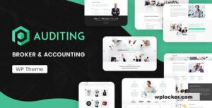 Auditing v3.3 – Accounting Consultant, Finance WordPress Theme