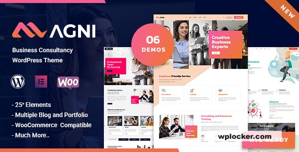 Agni v1.1.8 – Consulting Business