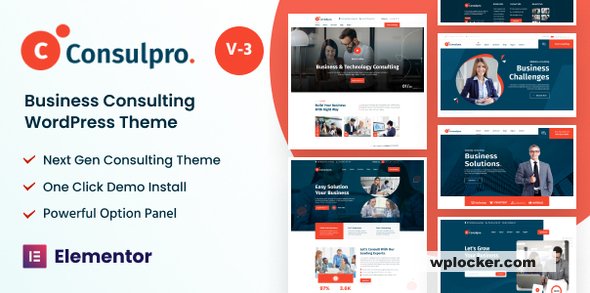 Consulpro v3.0.1 – Finance & Business Consulting