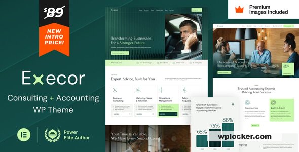 Execor v15 – Accounting and Management Consulting WordPress Theme  nulled