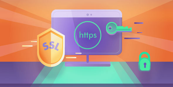 Really Simple SSL Pro v9.5.6  nulled