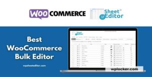 WP Sheet Editor Premium v2.26.1 + Addons