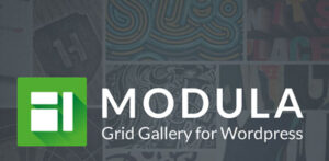 Modula Pro v2.10.12 – Best WordPress Image Gallery