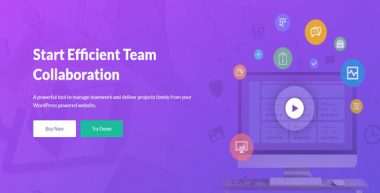 WP Project Manager Pro v3.0.2