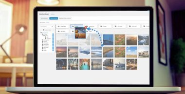 WP Media Folder v6.2.3 + Addons