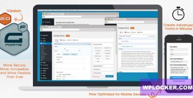 Gravity Forms v2.10.3