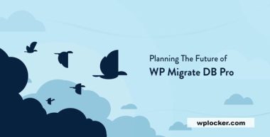 WP Migrate DB Pro Pack v2.7.9