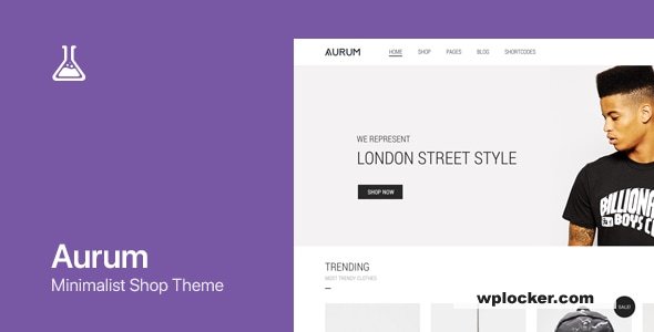 Aurum v4.0.1 – Minimalist Shopping Theme