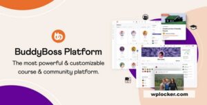 BuddyBoss Platform Pro v2.6.60