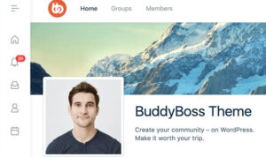 BuddyBoss Theme v2.7.60