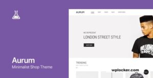 Aurum v4.0.6 – Minimalist Shopping Theme