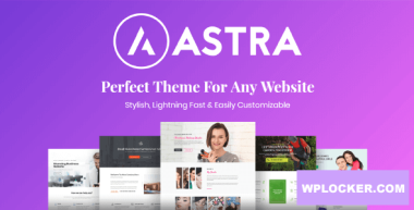 Astra Pro Addon v4.6.8 – Perfect Theme For Any Website  nulled