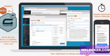 Gravity Forms v2.9.2  nulled