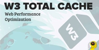 W3 Total Cache Pro v2.8.9